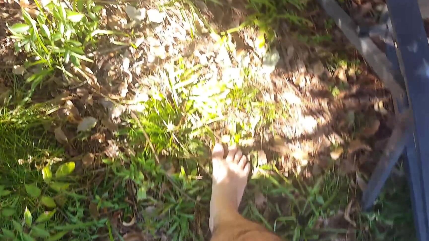 Silverthorne Feet Focused Leaf Crunching Pov