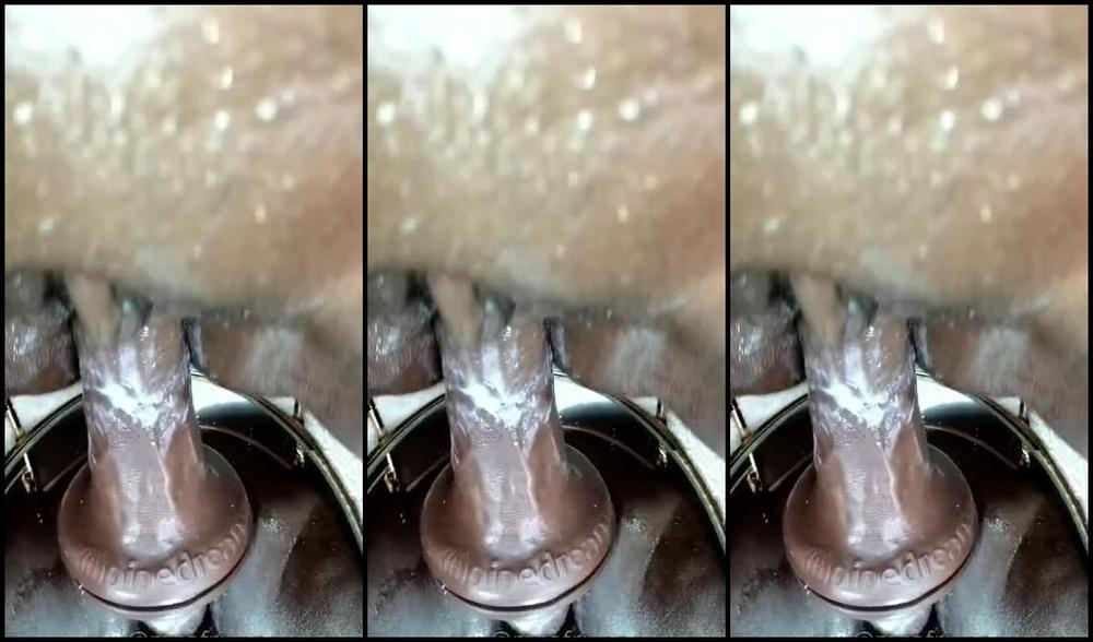 African Goddess Nicknamed Msafricangoddesss Findom 02 05 2023 Onlyfans Video Will You Allow This Maid To Breathe On Your Cock Even When She Is