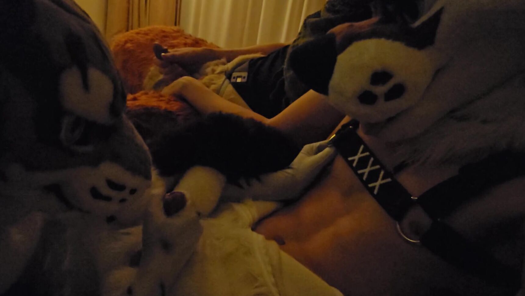 Palacewolf 924380554 Enjoy This Small Recording From When Ringer And I Attended T 01 0Hml40Dj0834Mjvvxs6Dk Source