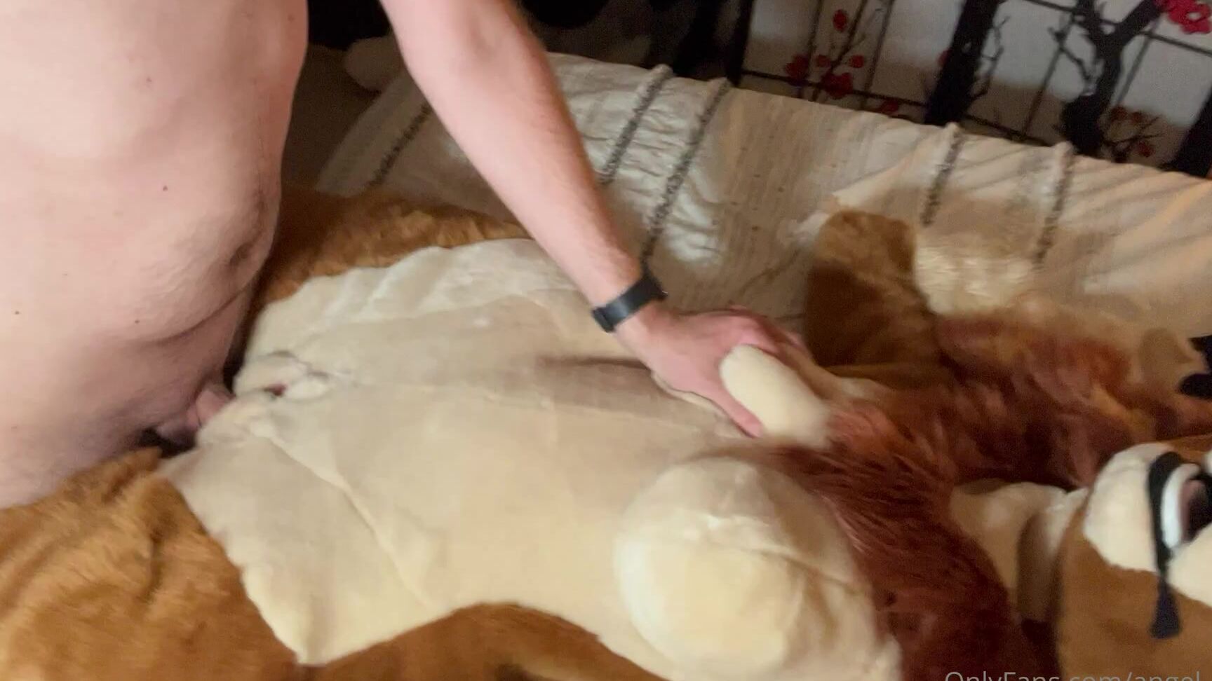 Angel Pups 391936564 Cowgirl Loves To Have Fun 02 620224Ea 41C0 4911 8944 9D7Bb01666A0