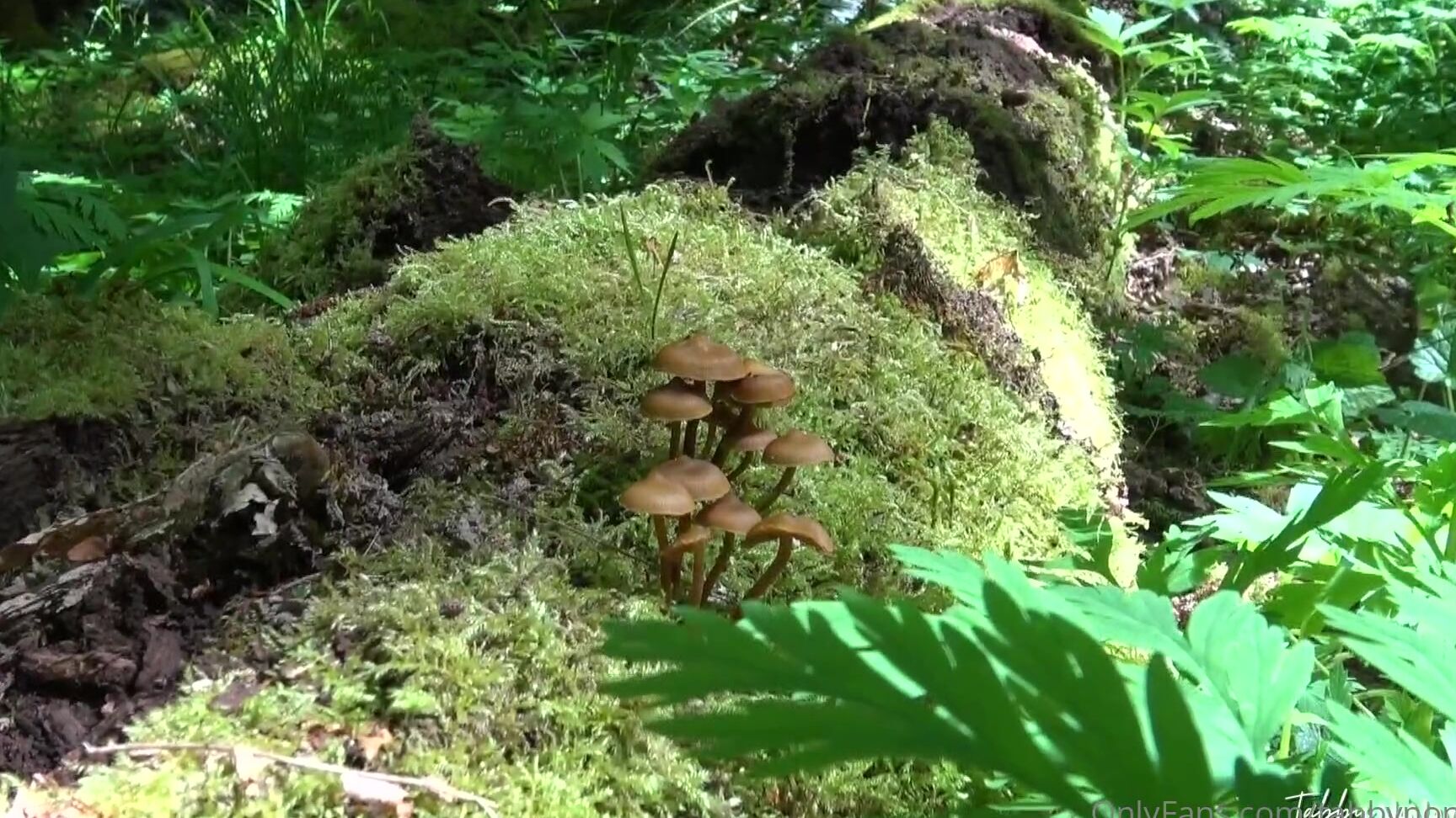 tabbynoname-18-05-2021-2112708956-noname-and-i-have-been-craving-getting-back-into-nature-the-seclusion-and-beauty-makes-us