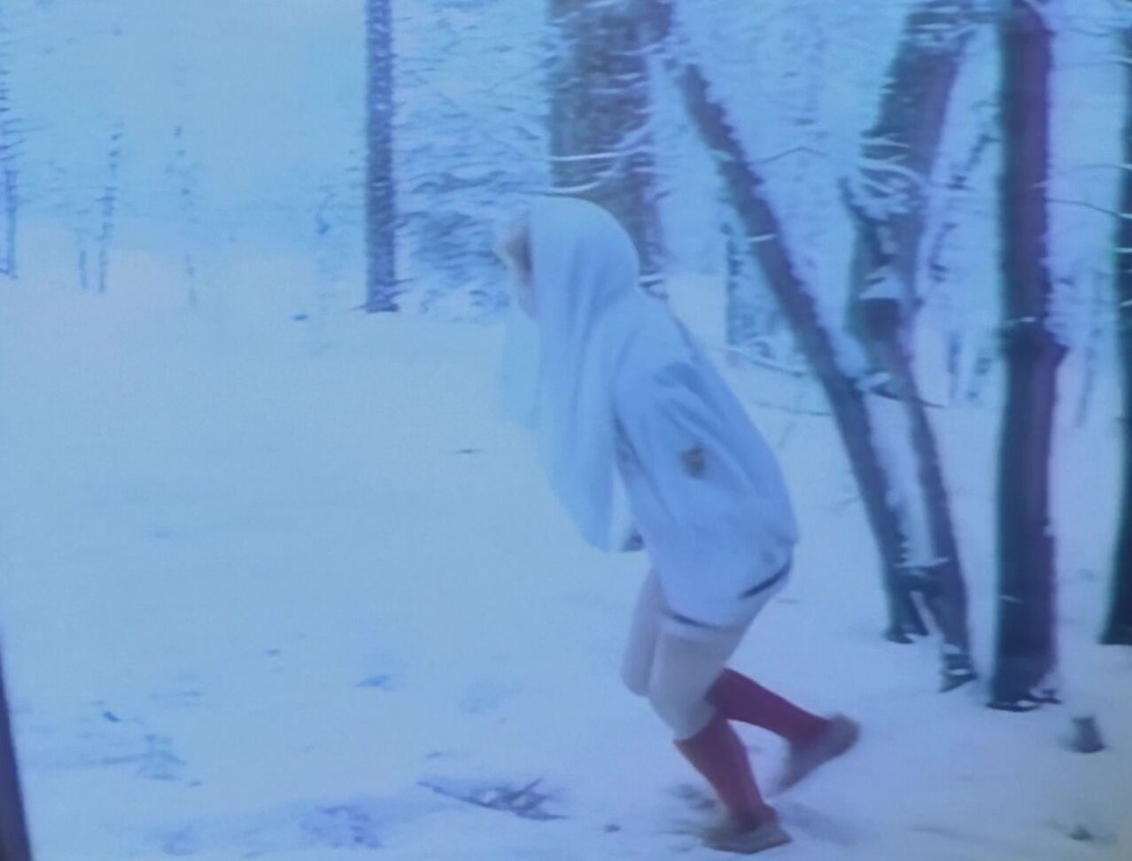 "Candida Royalle, Connie Peterson, Hillary Summers, Laurie Smith, Lisa De Leeuw, Seka, Serena, Vicky Glick, Bill Margold, Jack Shute, Long Chainy, Paul Thomas, R.J. Reynolds, Ron Jeremy" Feature, Group, Lesbian, Comedy, Blowjob Olympic Fever Arrow Pr