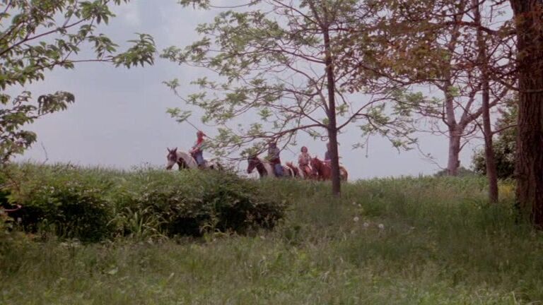 "Mix" All Sex, Anal Pussycat Ranch Jack Rabbit Productions,Vinegar Syndrome