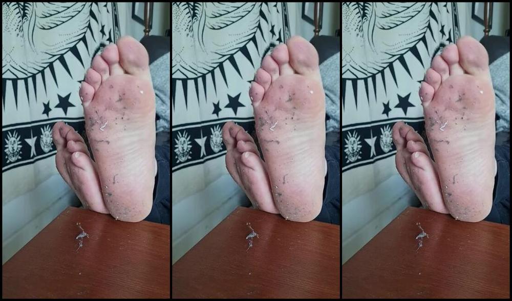 The Foot Dungeon Nicknamed The Foot Dungeon Onlyfans Like You Could Ever Tell Your Partner Youve Been Gooning Over A Hot 24 Year Old Studs Filthy Dir