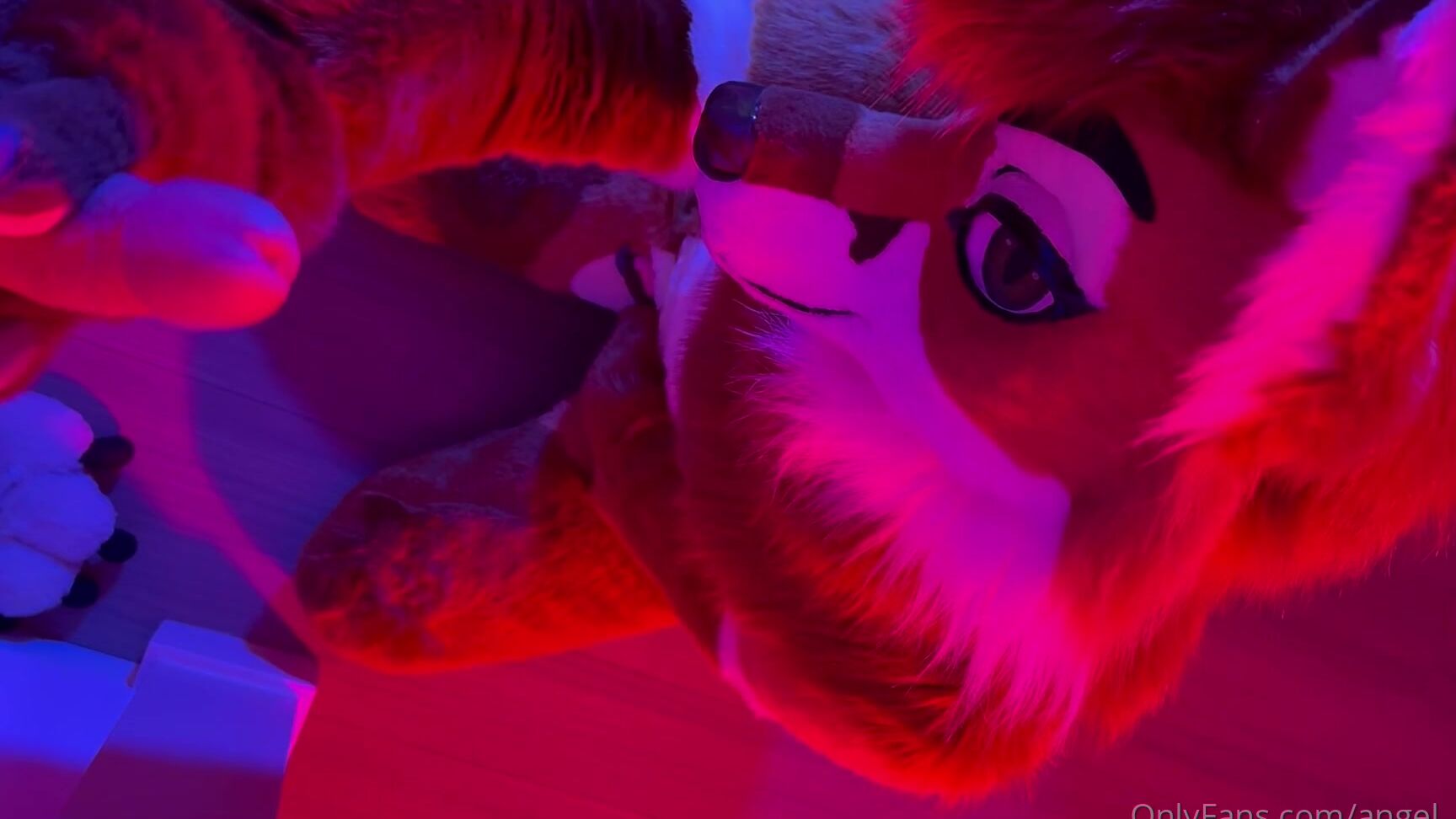 Angel Pups 1395442694 Featuring Storm And Mocha For This Week S Full Video Looks 01 0Hvvrv1Lbhp0R0Jrwfvre Source