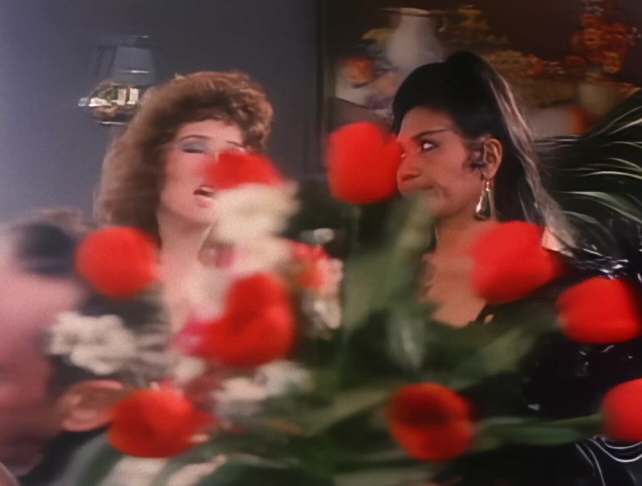 "Amber Lynn, Christine Lambar, De-Ahna, Linda Lowe, Margaret Smith, Marita Ekberg, Niki Jordan, Beth Broderick, Patricia Schenfele, Sarah Bernard, Taija Rae, Tish Ambrose, Veronica Hart, Jerry Butler, Johnny Nineteen, Larry David, Marco Nero, Paul Th