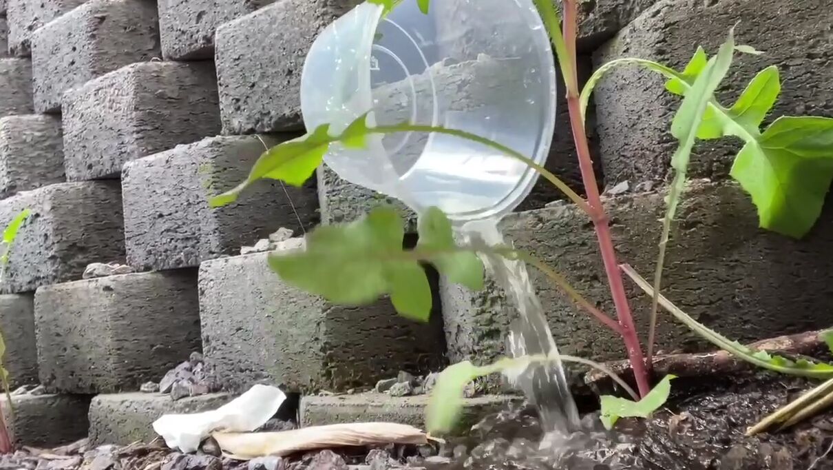 Compilation, Humor, Outdoors, Pee, Pussy Teasing hot-wee-compilation-video ManyVids