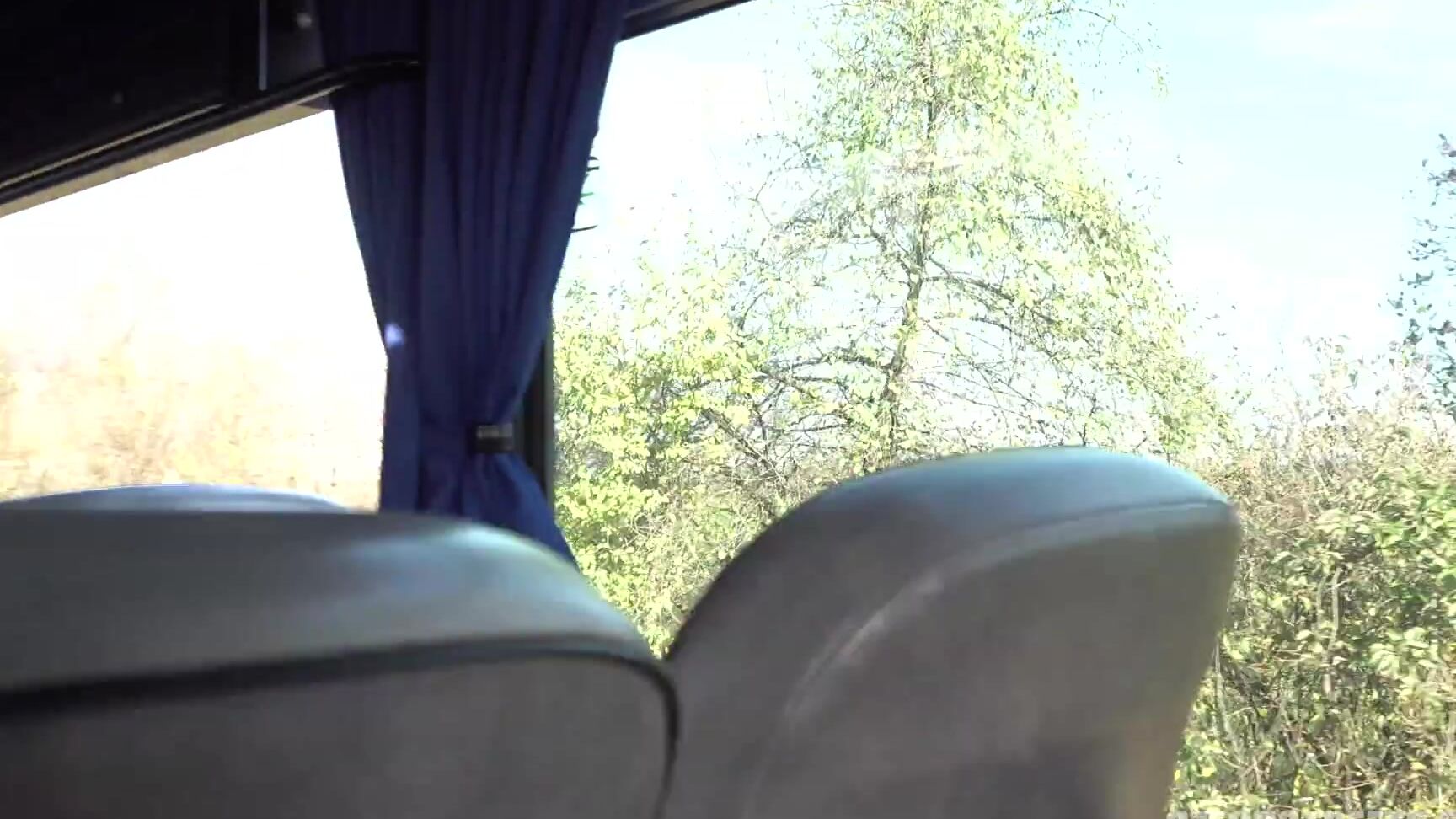 Gonzo, Hardcore, BJ, All Sex, Public Sex, MILF Luxurious MILF Fucked In A Public Bus SiteRip