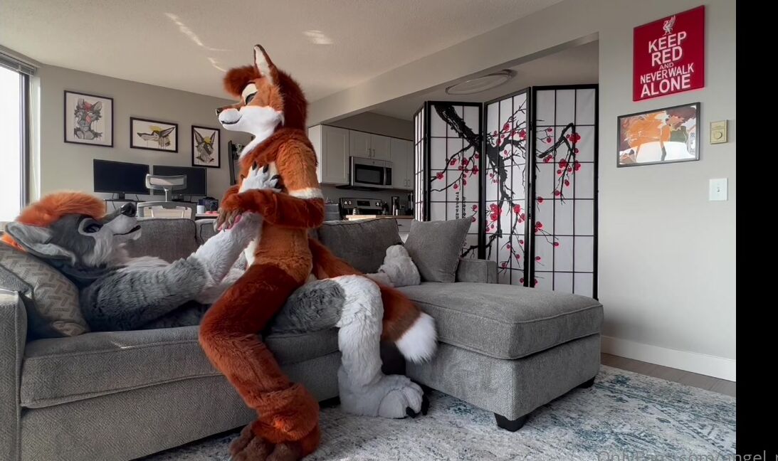 Angel Pups 656700560 The Classic Combo 01 E4Bbfa85 E6E0 4Cc4 Afd4 3Adaf7C2A04E