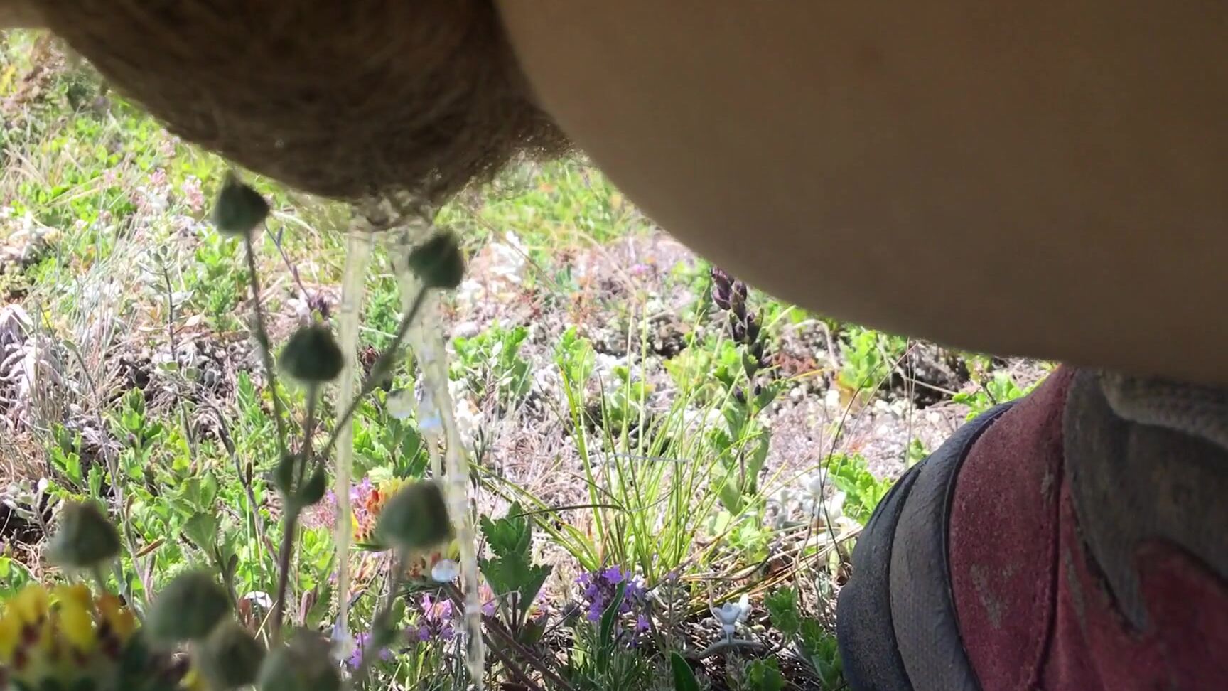 PregnantMiodelka Sexy pants and nature outside pee Manyvids