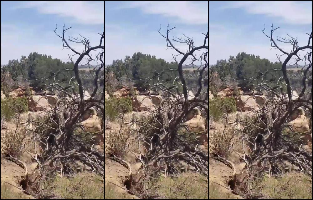 Aleighajames Mesa Verde Sex Tape