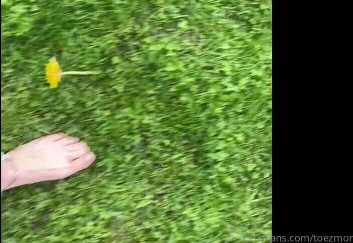 Monkey Solez I Forgot A Part So Here S Is The Redo