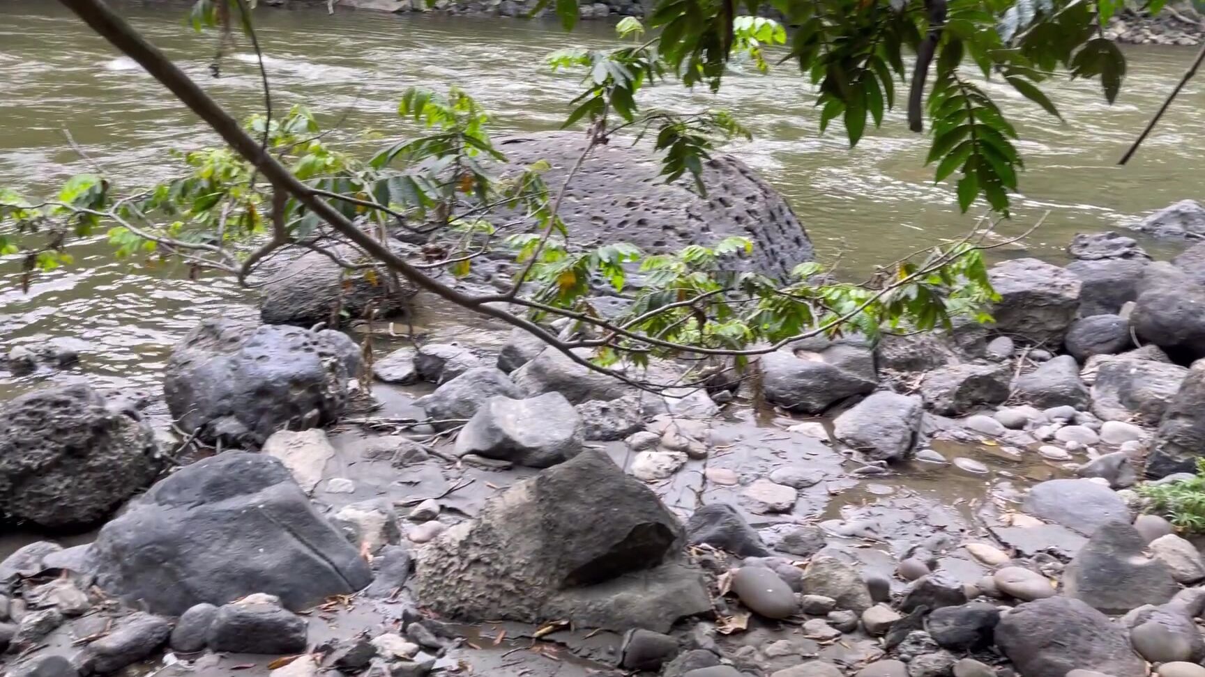 Katty Blake Blowjob In The Middle Of The Forest