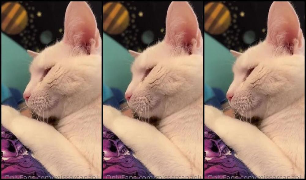 Missarcanaplus Nicknamed Missarcanaplus Onlyfans Ive Been Super Busy With Some Art Projects Lately But During My Breaks Today I Took This Mini S 18