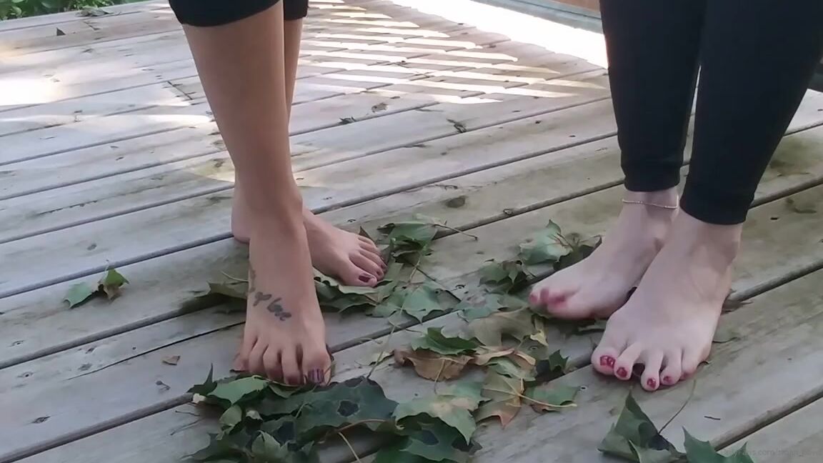 Sloans Paws Nicknamed Sloan Paws 10 07 2019 Onlyfans Video Fall Leaves Crushing Small Clip That Manda Amp I Did