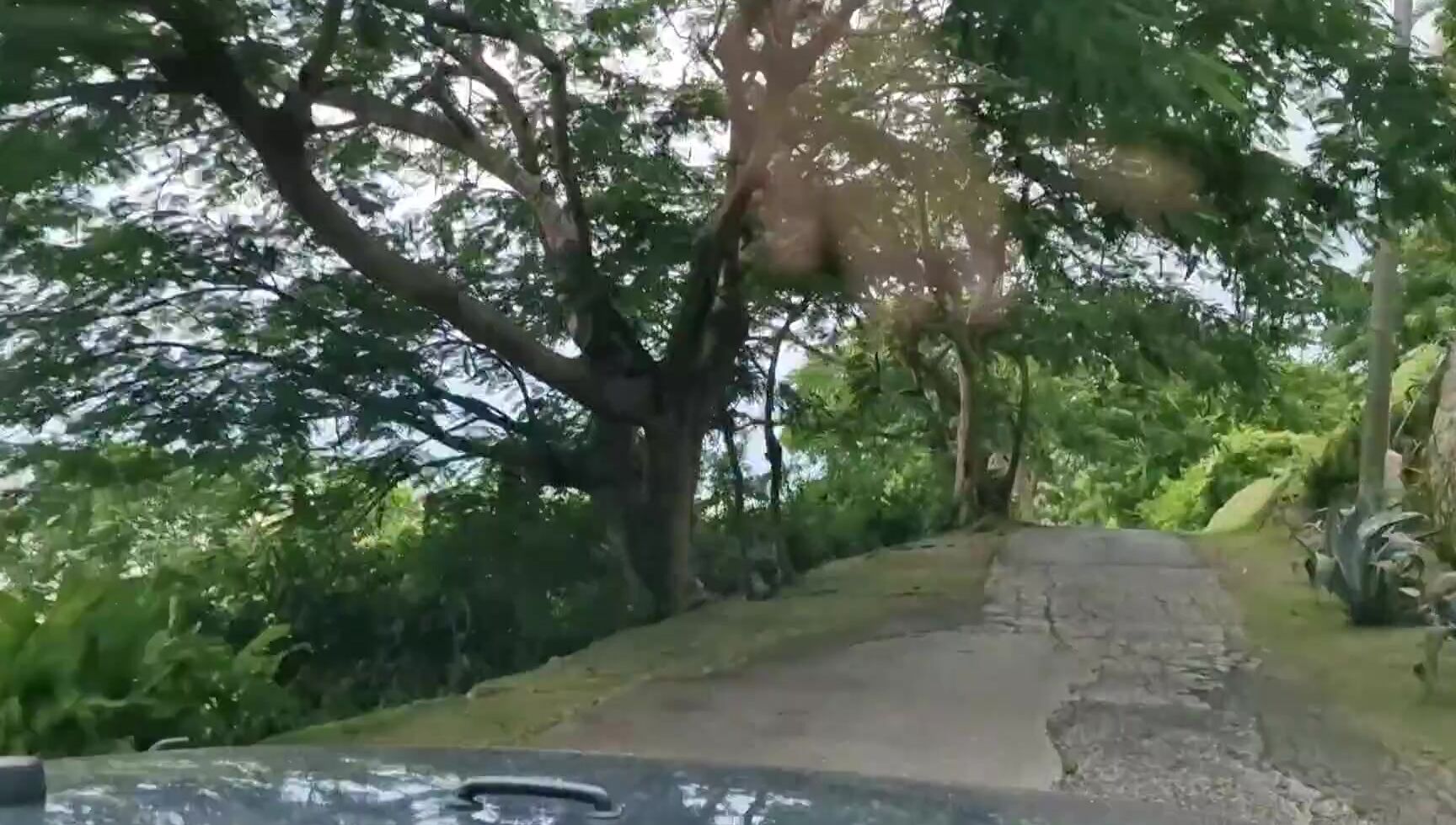 Travelling Peach 3058095404 10 21 2023 Does The Beginning Of The Day Get Repetitive I Think It Does Up Early To Enjoy