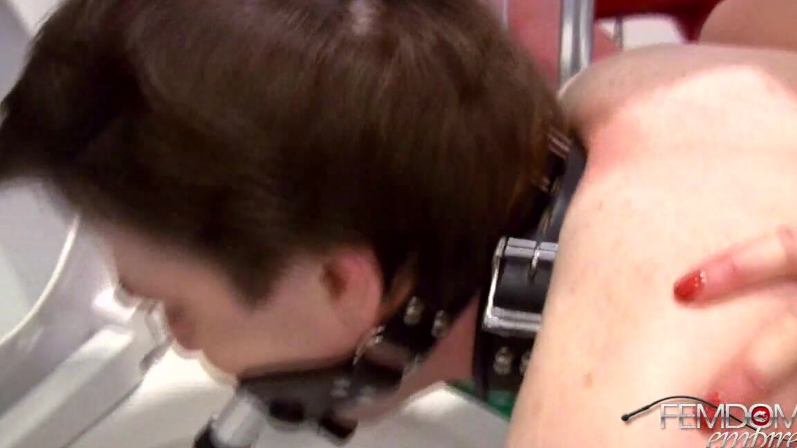 FemdomEmpire Lexi Sindel - Humiliated BITCH
