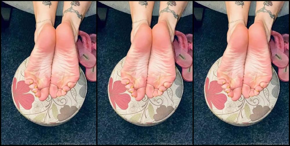 Catprincessfeet Onlyfans Wait For It 3
