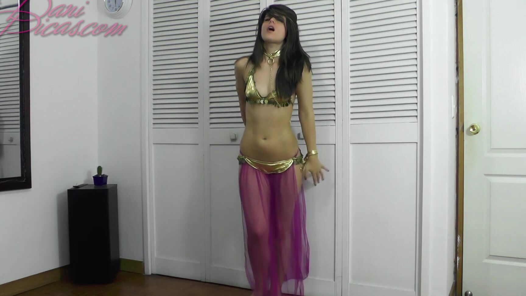 Your Wish Is My Command Dani Picas