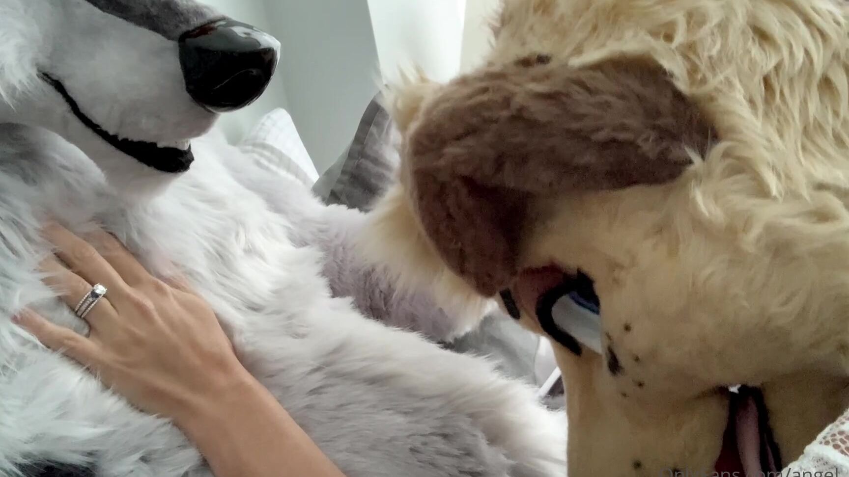 Angel Pups 170319171 Soft Lovin 01 8F005C30 8E25 4003 9106 Daa8564429Cb