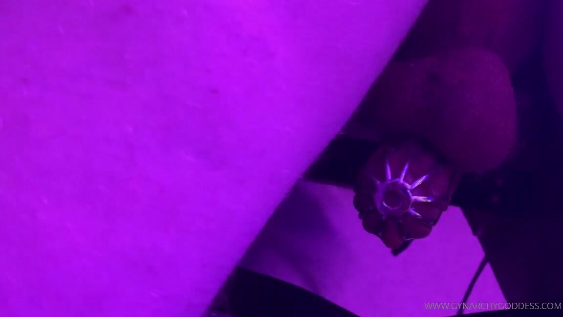 Goddess Gynarchy Hastity Tease On Day Chastity