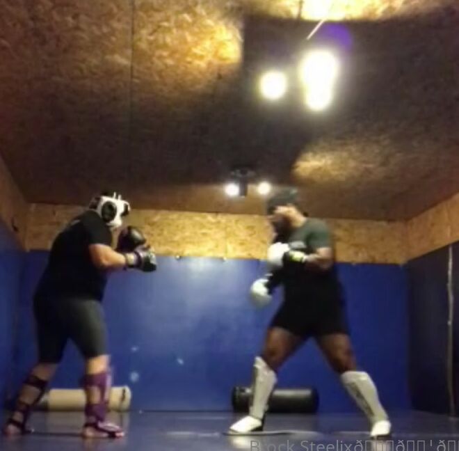 Brocksteelix I Guess You Can Say I Can Pound You More Than One Way