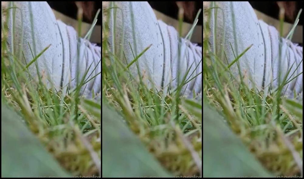 Goddes Lexy Nicknamed Giantesslexy Onlyfans Sei Carinino Quanto Provi A Venire Da Me Tremando Come Uno Scarafaggio