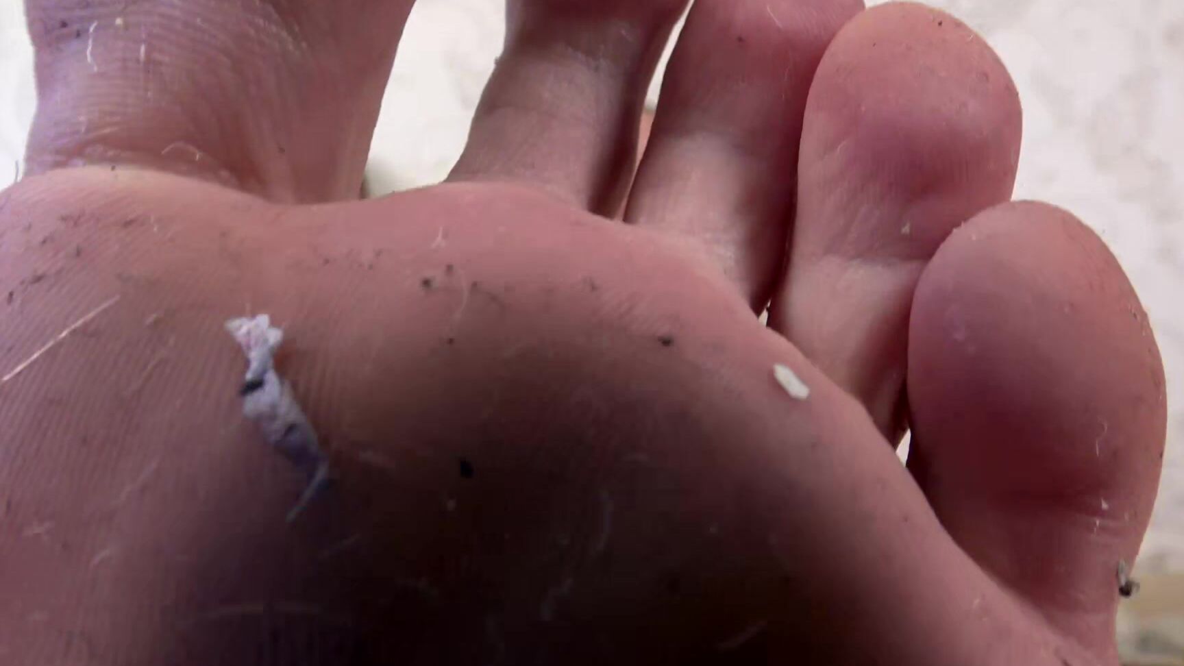 Daisy Violetta Sweet Revenge Pov