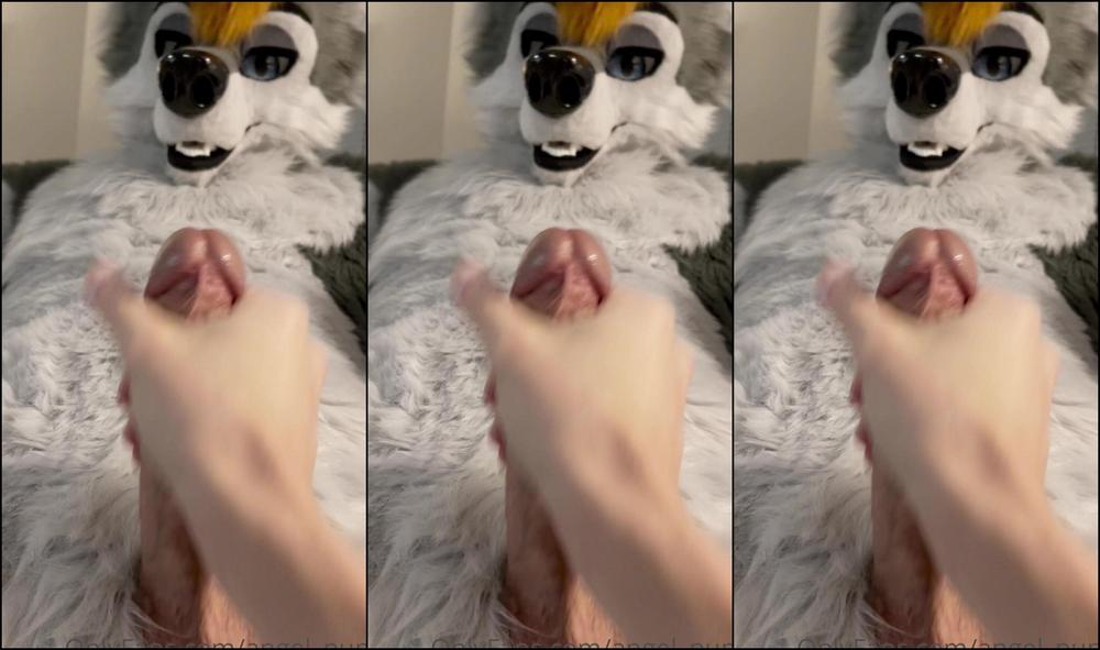 Angel Pups 1213920334 Helping The Big Wolf Relax On This Throwback Sunday Looks L 01 0Gxvjuspixk5Fhk959Ed5 Source