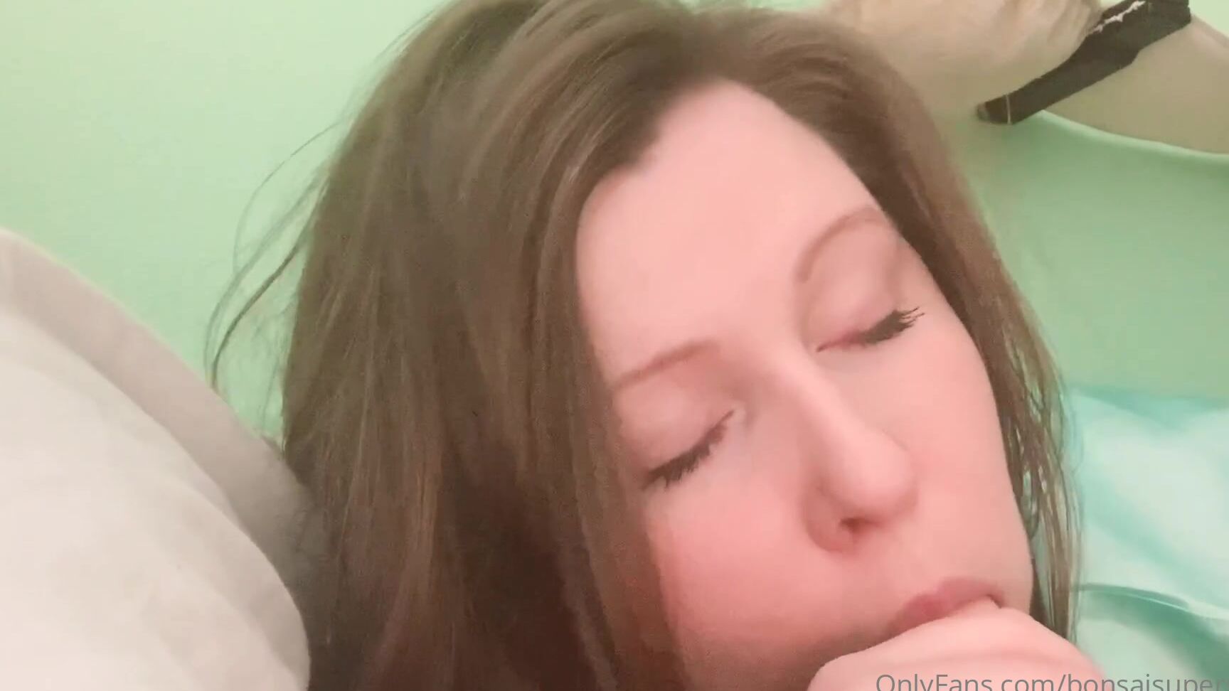 Bonsaibon Enjoy This Morning Wood Cure I Have