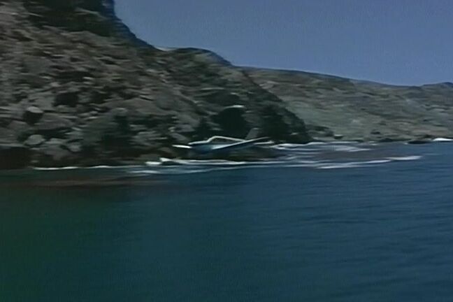 "Alexandra Quinn, Ashlyn Gere, Lauren Brice, Rayne, Tianna Taylor, Buster Cheri, Joey Silvera, Mike Horner, Rick Savage, Tom Byron***" All Sex Bush Pilots VCA