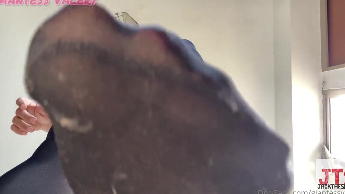 Valery Maxwell Nicknamed Giantessvalery Onlyfans 04 27 2023 Hello My Tinies This Was A Collab With Jackthespeck I Hope You Like It Xc