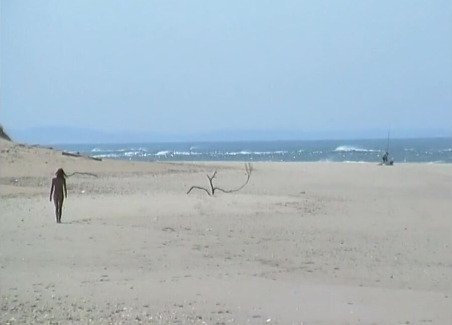 Daring Desire Beach Walk Part 2 Pornhub