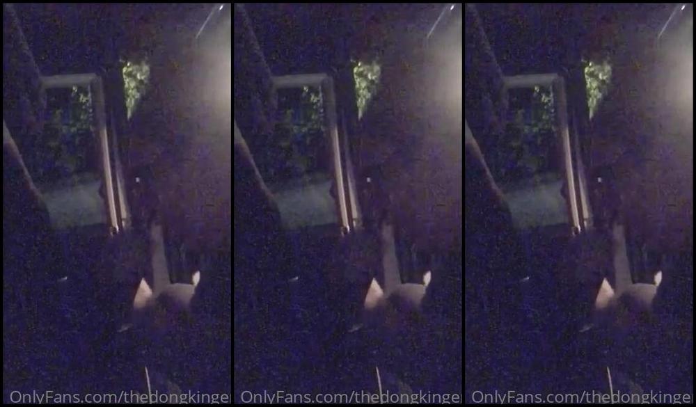 Thedongkinger The Lockdown Had Her Desperate To See Me So She Told