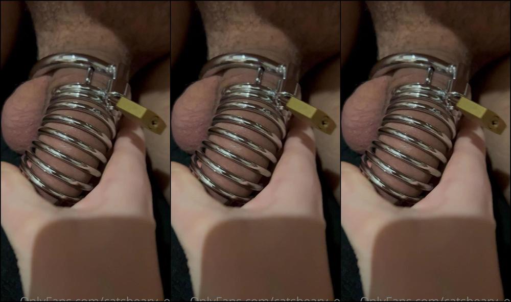 Catsbeary 2682325766 11 16 2022 A True Man Has To Please His Wife Without Thinking About His Own Pleasure Chastity And