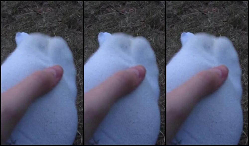 Neolasoles Nicknamed Neolasoles Onlyfans Wanted To Film Outside But I Managed To Go Out Too Late So This Video