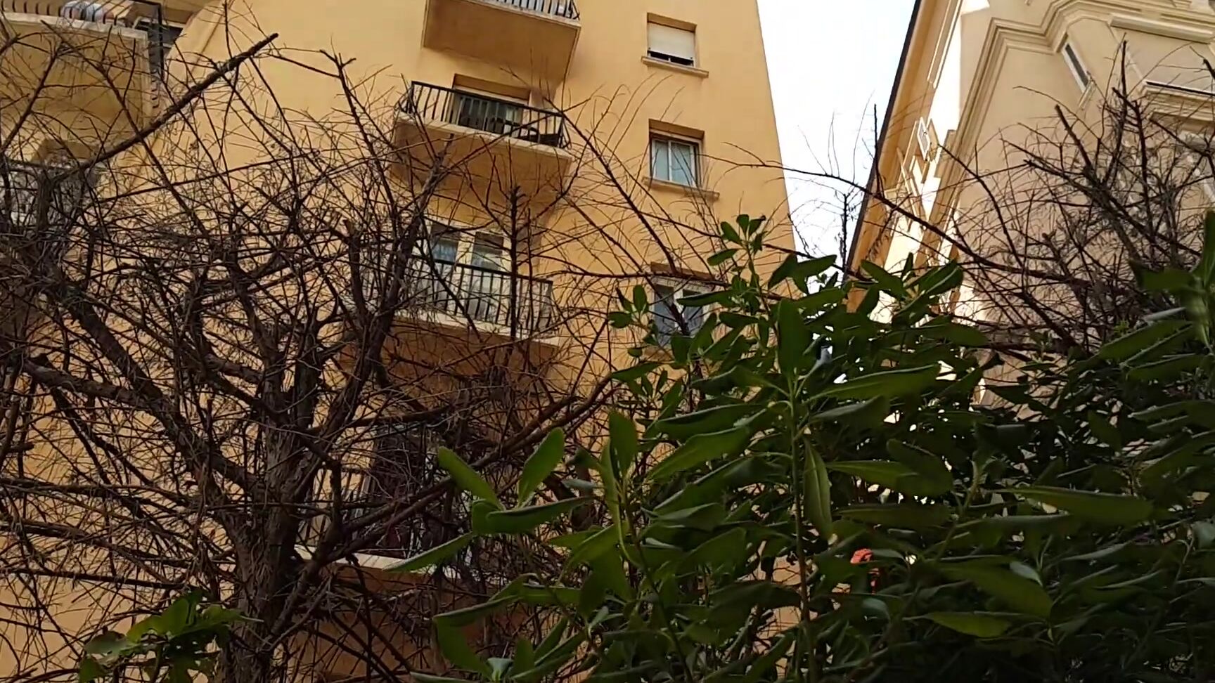 dream4angel pee and pussy refreshing in city center Pornhub