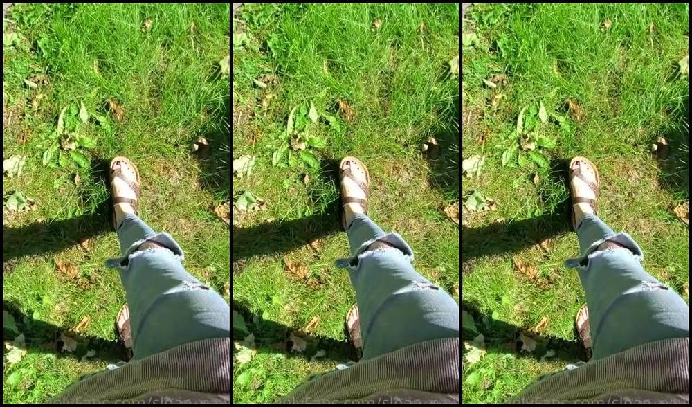 Sloans Paws Nicknamed Sloan Paws 09 26 2020 Onlyfans Video Listen To The Leaves Crunch Under My Feet Also Showing Off The Tops Of My Feet