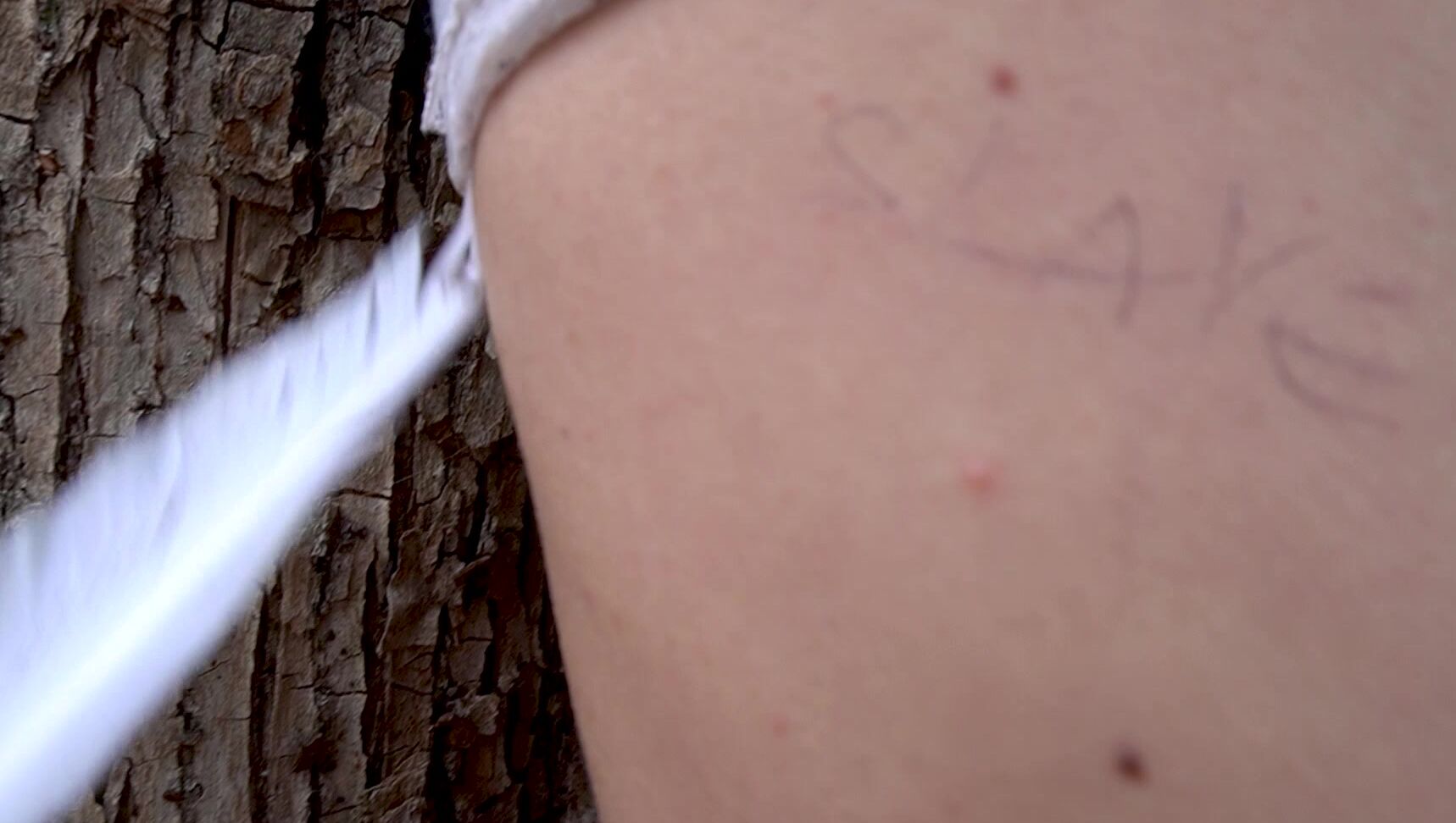 Kingdom Of Feet And Slaves Bitch Tightly Bound In The Forest