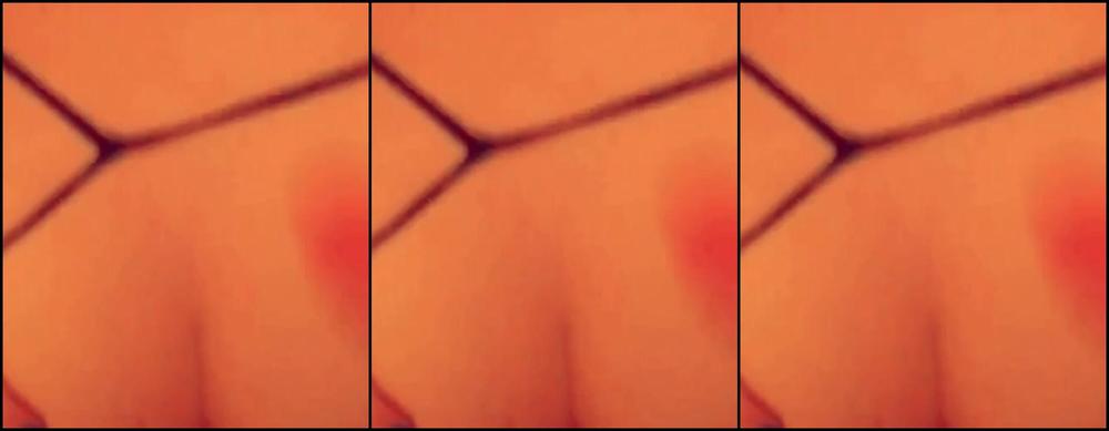 Morganroberts My First Full Anal For You Watch Me Get Pounded Deep