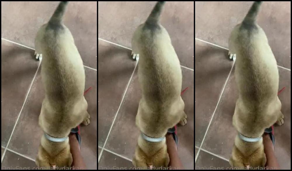 Ladydarkangeluk Onlyfans Watch Her She S So Naughty Puppy Training Soon Lol