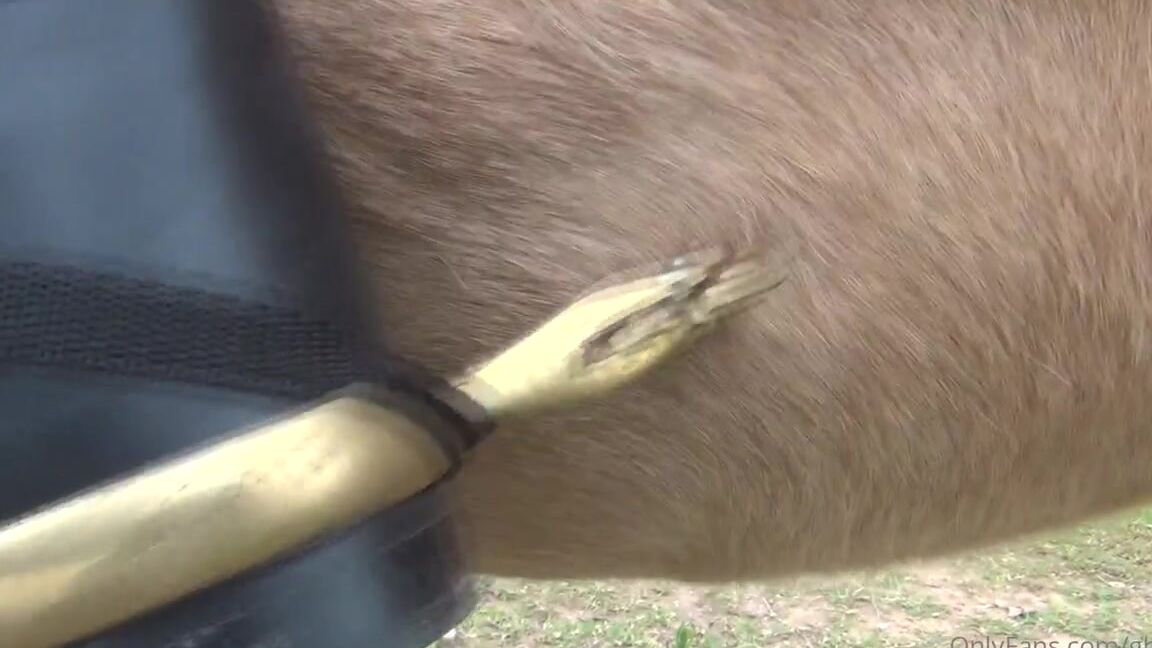 Ghrfan Onlyfans Although I Love Women On Classic Riding Apparel I Must Confess I Have A Crush For