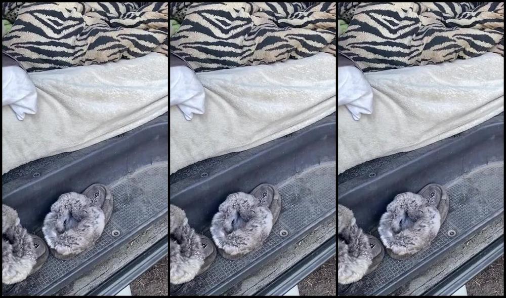 Lezlyan Nicknamed La Little Dancer Feet Onlyfans This Was A Surprise To Me Dirty Camping Feet I Spent A Big Portion