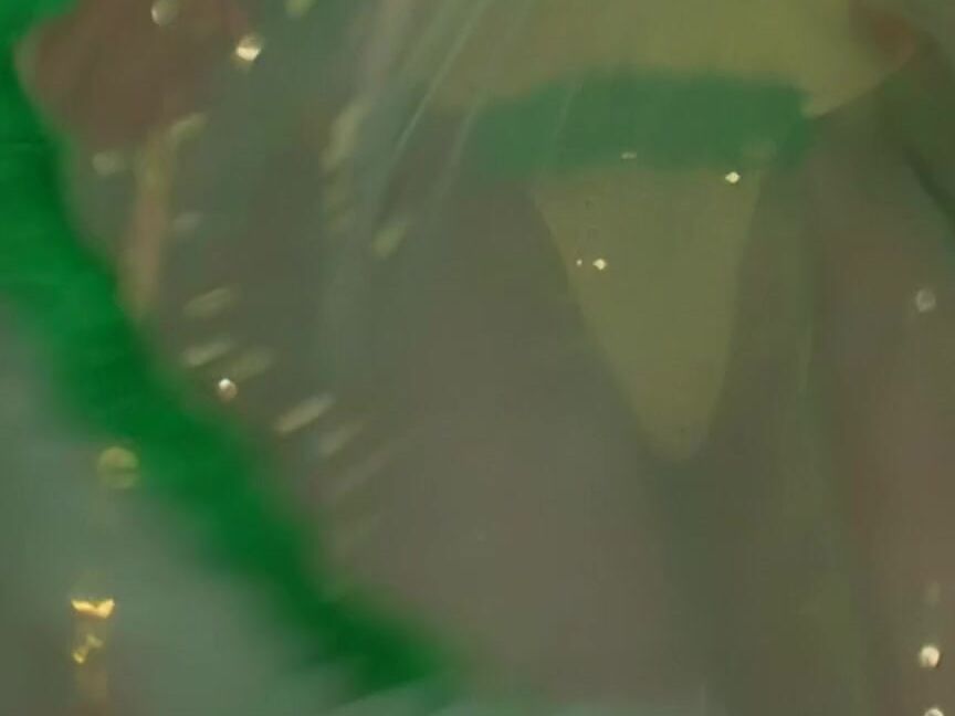 "Sophie Evans, Nikki Anderson, Laura Angel, Eva Falk, Christina Black, Kiss Linda, Franco Trentalancia, Andrea Nobili, Frank Malone, Remigo Zampa, David Del Guadio" Anal, Feature, All Sex Impulse 9 comandamento Capital Film