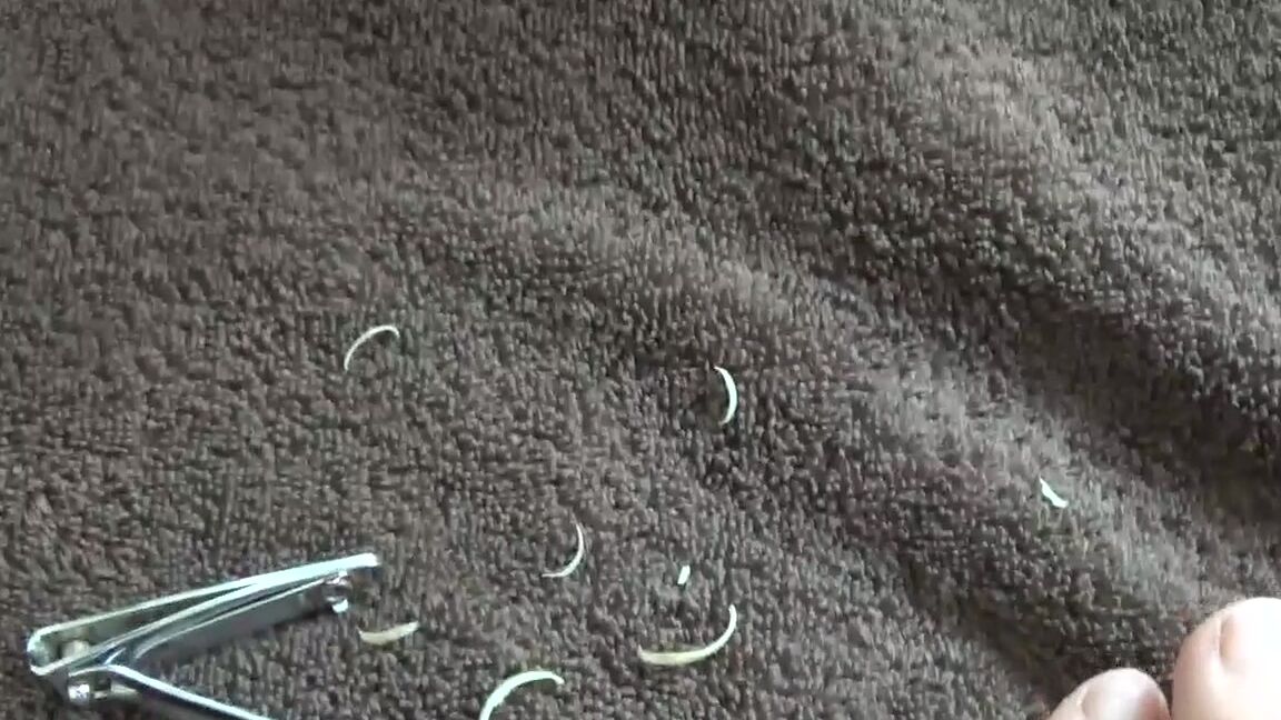 Sarah Michelle Sarahs Foot Treatment