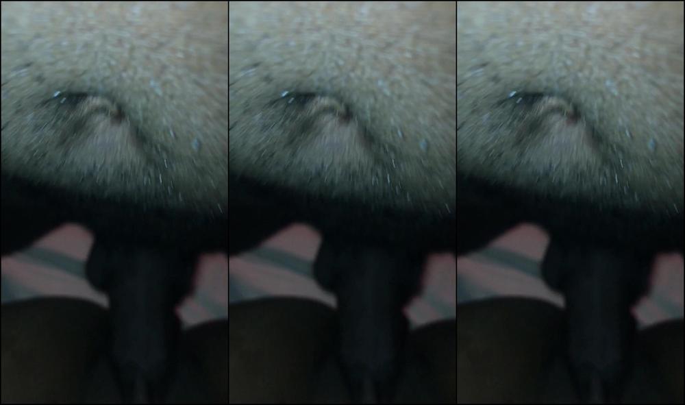 Unicornriah Special Request Categories Squirting Oral Missionary