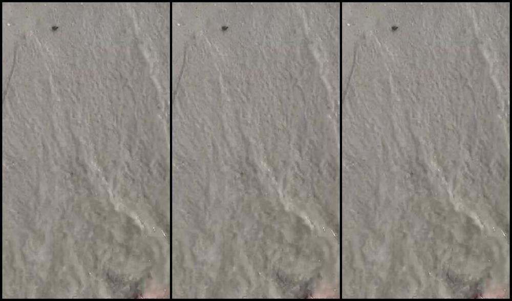 Goddess Rhonda Aka Sweetesthangsfeet Onlyfans And In The Gulf Of Mexico Sand Beach And Then Cleaning Them 8