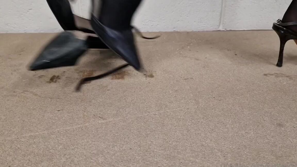 Kats Worn Heels Nicknamed Katswornheels Onlyfans Im Not Finished With You Yet