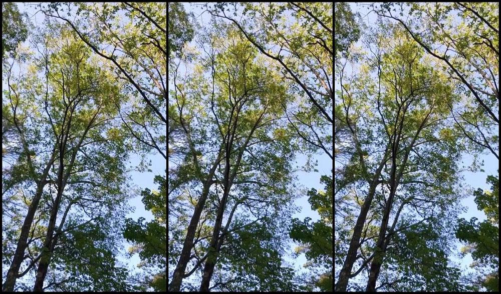 Flirtygirl370Z Nicknamed Flirtygirl370Z Onlyfans Peaceful Moments Are Rare