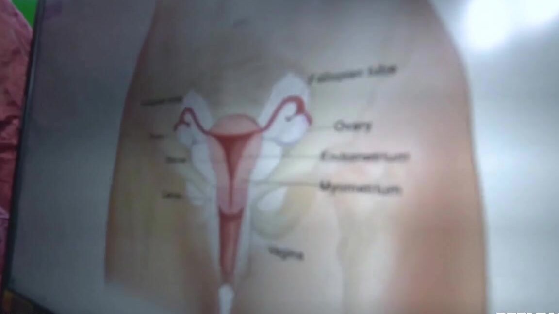 Result Daisy To Olive Glass